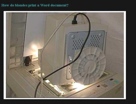 blondie.JPG